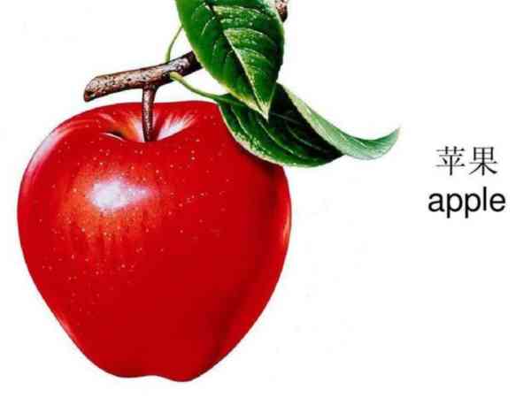 苹果用英语单词怎么写
