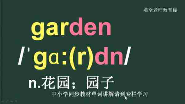 灌木丛英语怎么读音发音