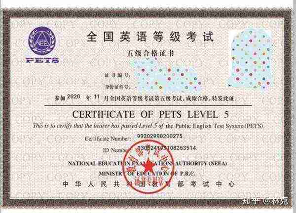 pets5可以直接报名吗