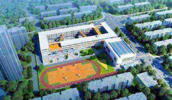 金城小学校长名单照片
