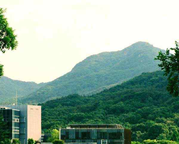 首尔大学分数线