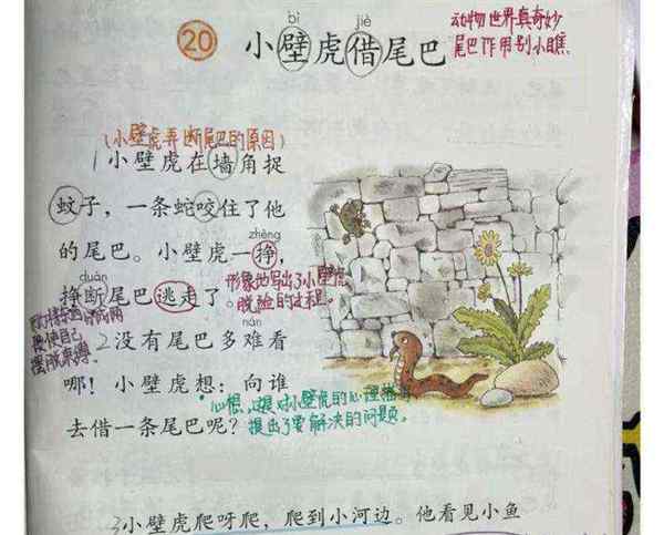 小壁虎借尾巴一年级下册课文原文