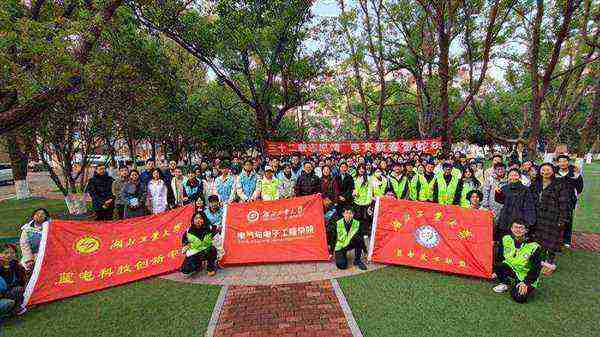 上海电机学院电气学院