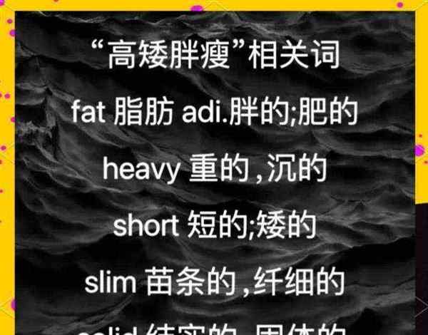 胖的英浯单词怎么写