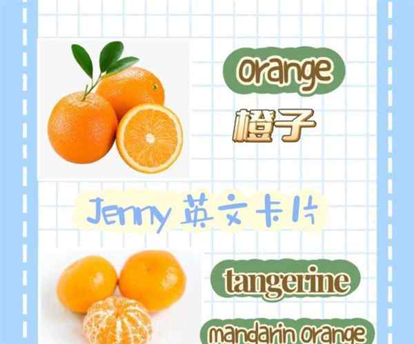 橘子的英文怎么说怎么读