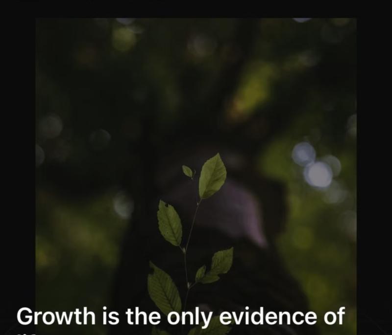 没有一人的英语怎么读