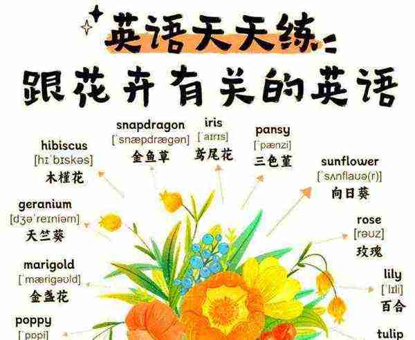 花用英语怎么念怎么读出来