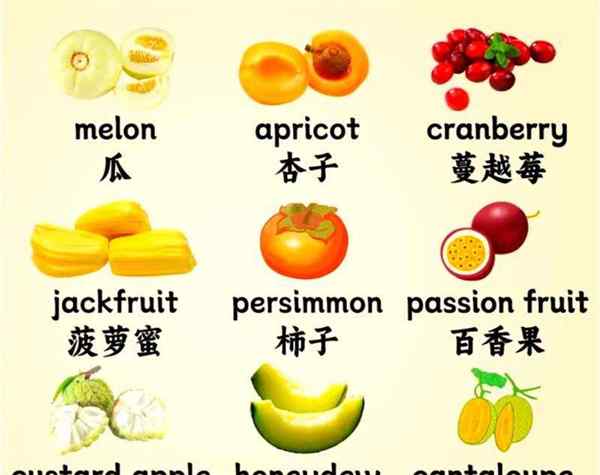 水果 英语怎么读?