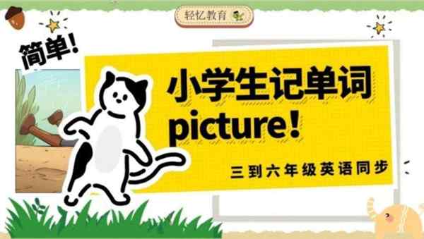 picture英语怎么读发音