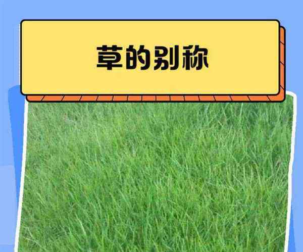 草用英语怎么说grass
