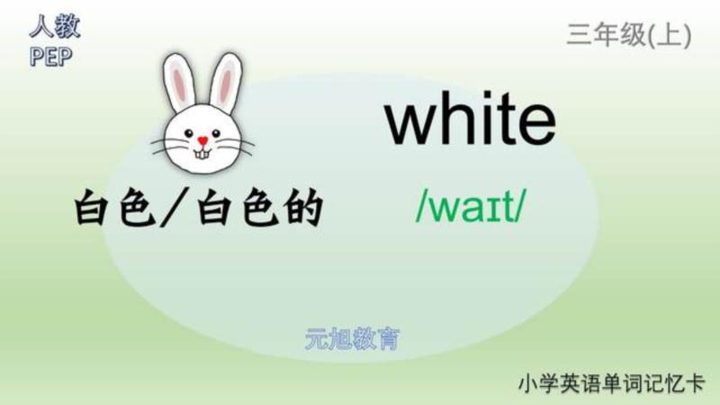 白色用英语怎么说单词怎么写的