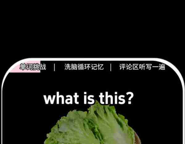 蔬菜的英语咋写怎么读