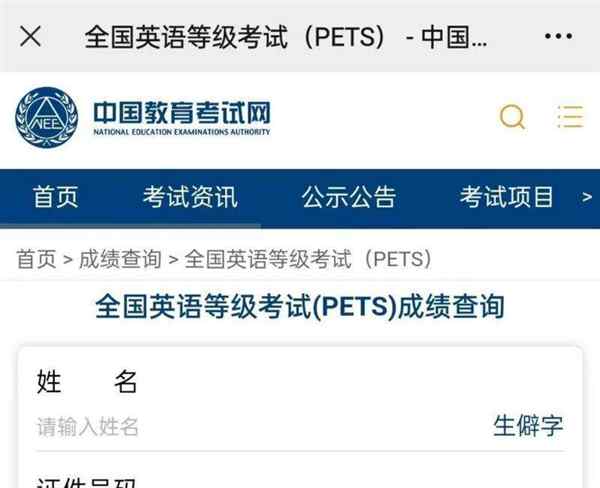 全国pets成绩查询