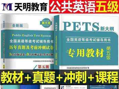 全国外语水平考试wsk报名费多少钱