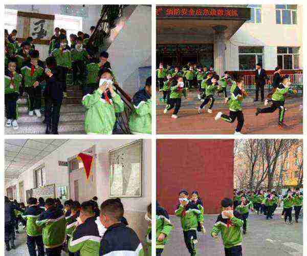 合肥育新小学