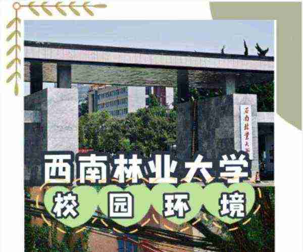 西南林学院什么时候改为林业大学