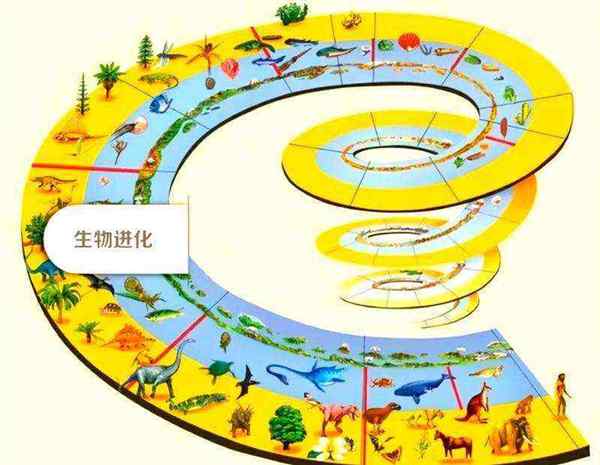 生命科学的范畴包括哪些