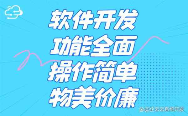 软件开发企云云系统定制流程
