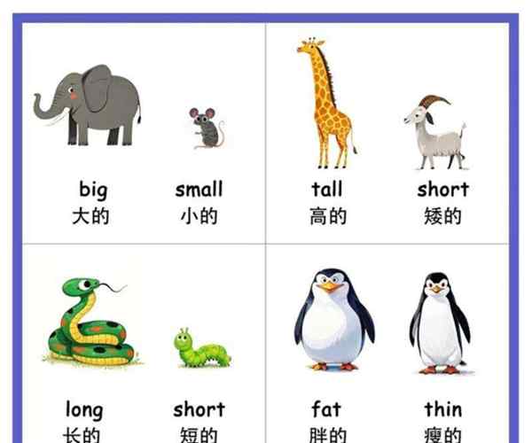 个子矮的英文单词怎么读short