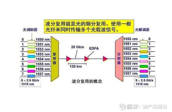 species什么意思中文翻译