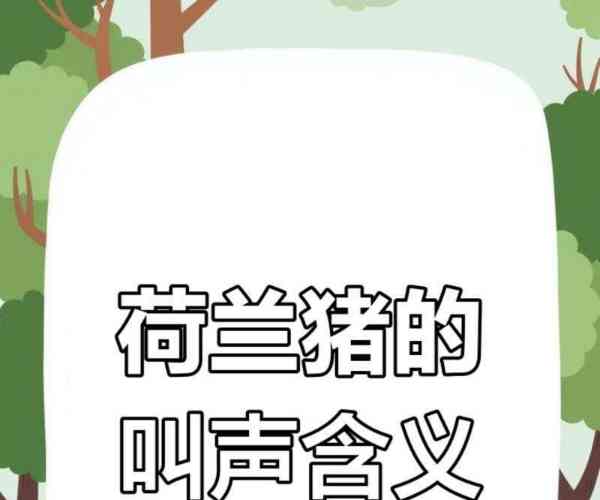猪英语怎么说读音是什么
