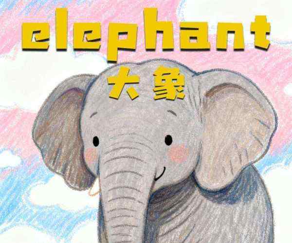 大象用英语该怎么读