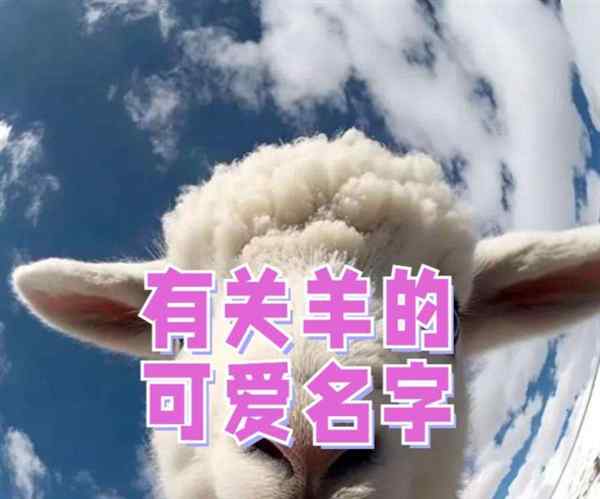 山羊的英文单词怎么写的