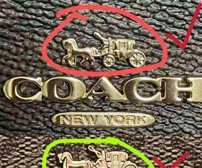 coach是什么意思中文翻译成为