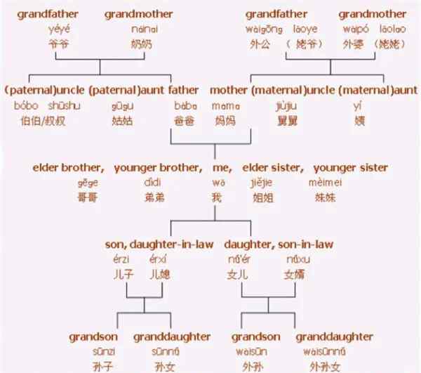 妇女的英语复数
