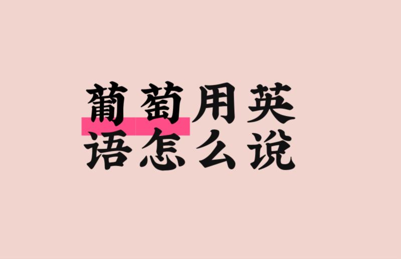 葡萄的英语是咋说的呀怎么写