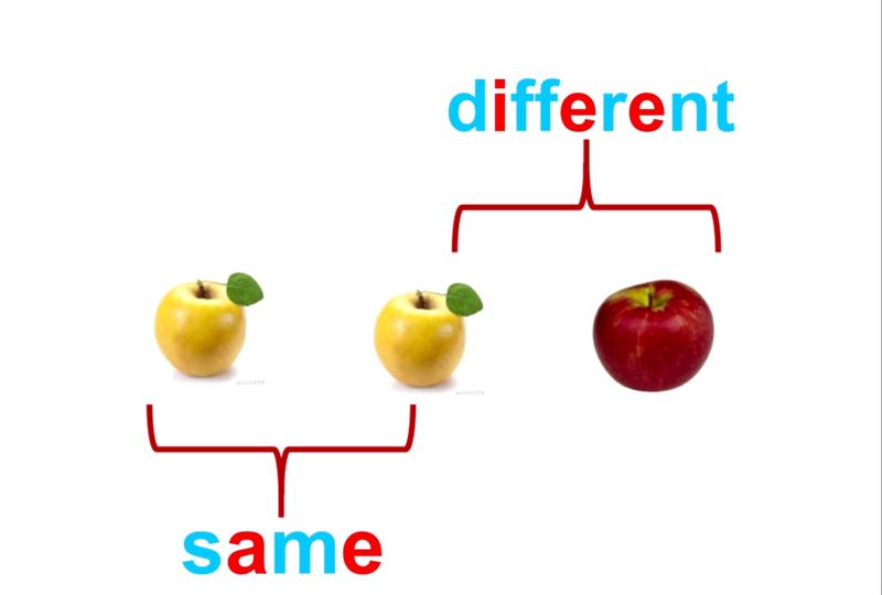 不同的英语怎么读differently