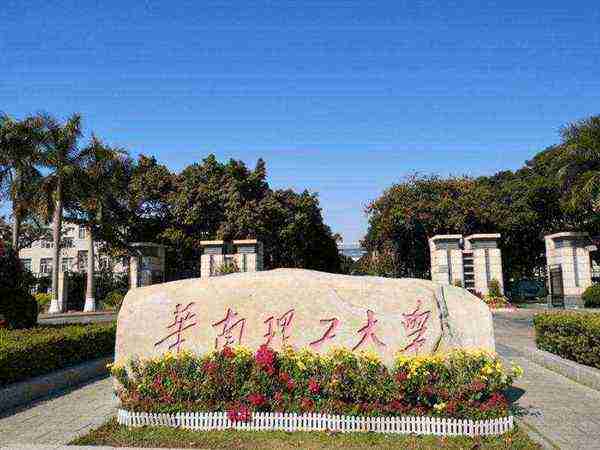 广东省一本大学有几个学校