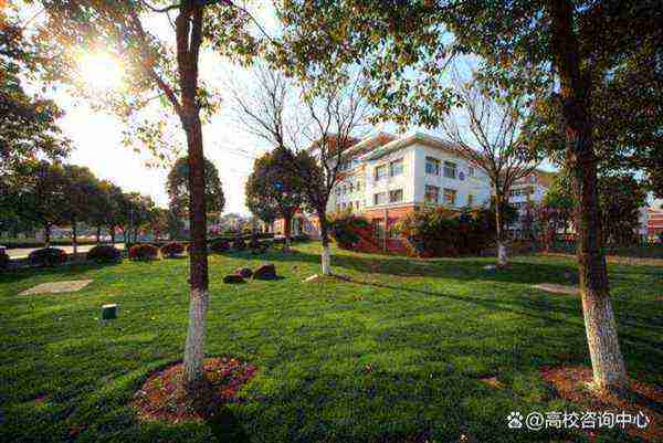 无锡工艺学院芦建文个人简历