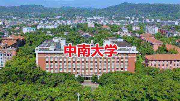 中南大学学生工作管理系统