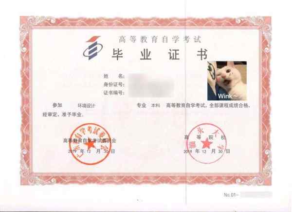自考本科可以考哪些证书呢