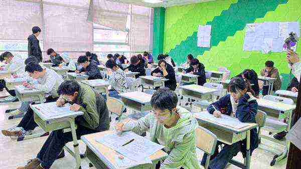 艺考培训学校教文化课吗
