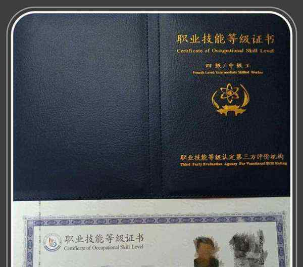 护士资格证怎么查电子版的