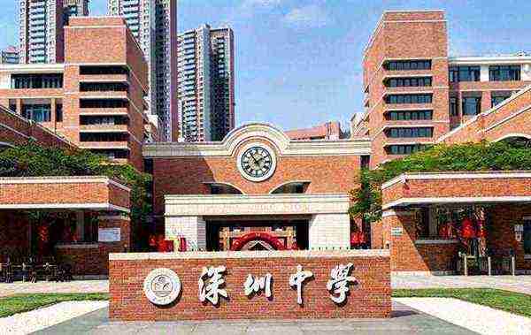 深圳中学英文地址查询