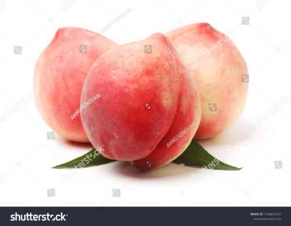 桃子的英语怎么写单词