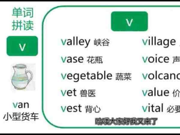 v的英文单词有哪些开头的单词