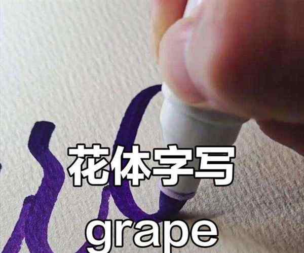 葡萄的英文单词是什么?怎么读?