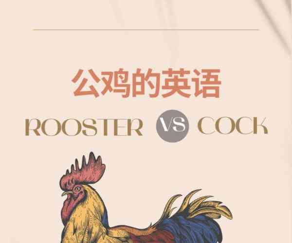 鸡你太美用siri说出来