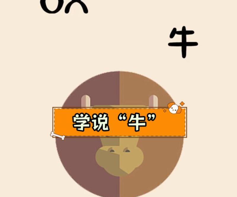 母牛英文bull和ox