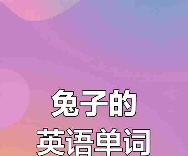 兔子的英文bunny和rabbit有什么区别
