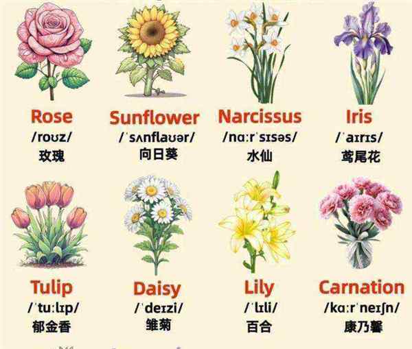 花的英语怎么说怎么写的呀