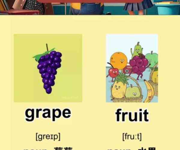 葡萄怎么说英语单词