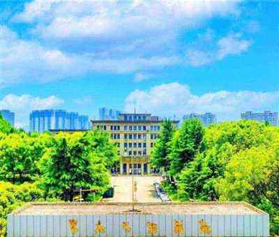 武汉理工大学统一身份认证平台