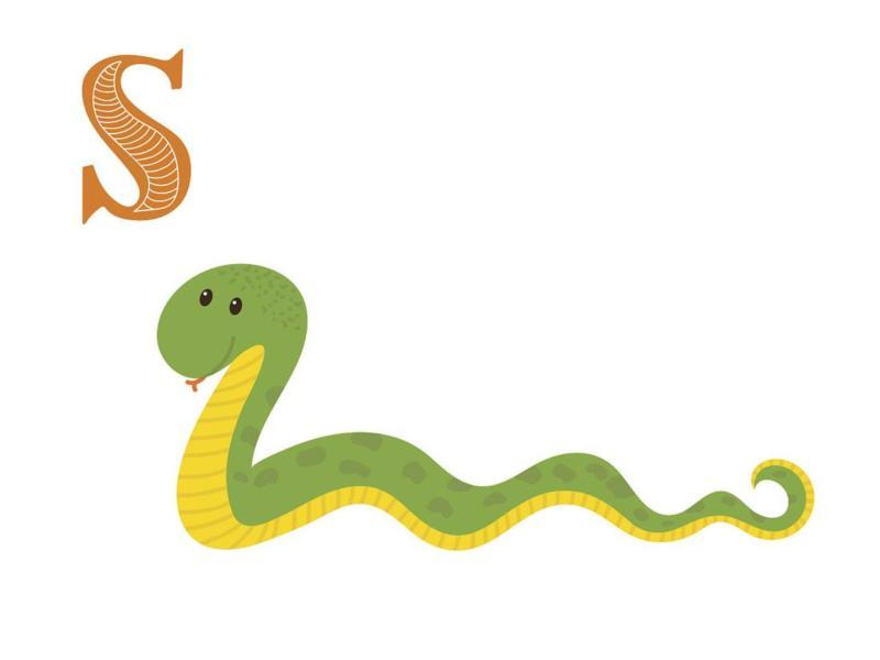 蛇英语怎么说snake