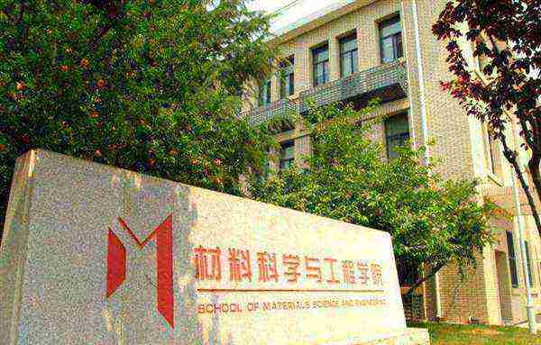 北京理工大学材料科学与工程学院