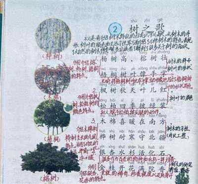 小学语文课本中的大树是什么